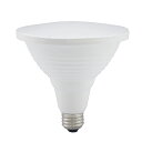 LED電球 ビームランプ形 E26 100形相当 防雨タイプ 昼光色_LDR11D-W/P100 06-3416 オーム電機 2
