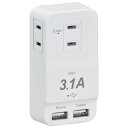 電源タップ 発煙ガードタップ 3個口 USBポート×2 白|HS-TM3U3HT3-W 00-1230 オーム電機