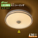 LED薄形ミニシーリングライト センサー付き 40形 420ルーメン 電球色|LE-Y5LK-WS R 06-3955 オーム電機
