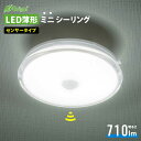 LED薄形ミニシーリングライト センサー付き 60形 710ルーメン 昼光色|LE-Y8DK-WS R 06-3958 オーム電機