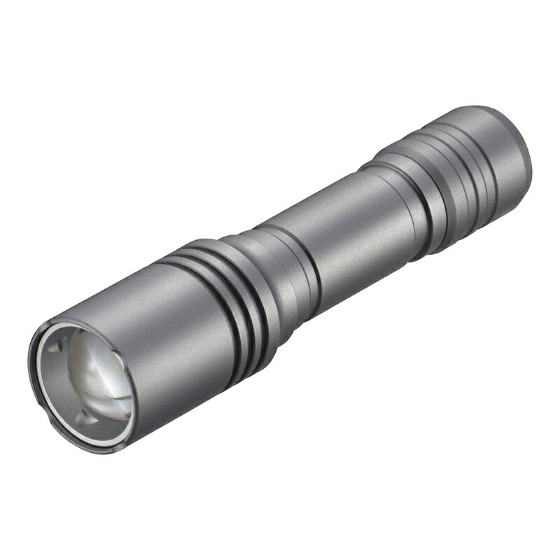 LED�t���b�V�����C�g 400���[���� LHA-VX2A1-MS