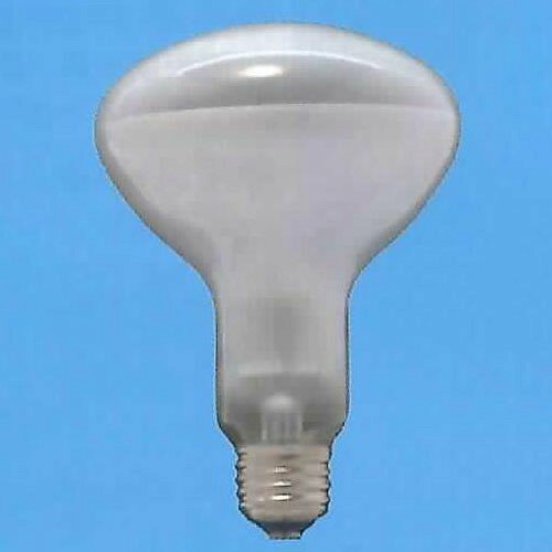 Reflection Bulb （Scatter） - 旭光 レフランプ E26 100W フロスト_080420 16-4055