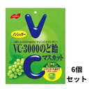 【6個セット】 ノーベル VC3000 のど飴 マスカット 90g