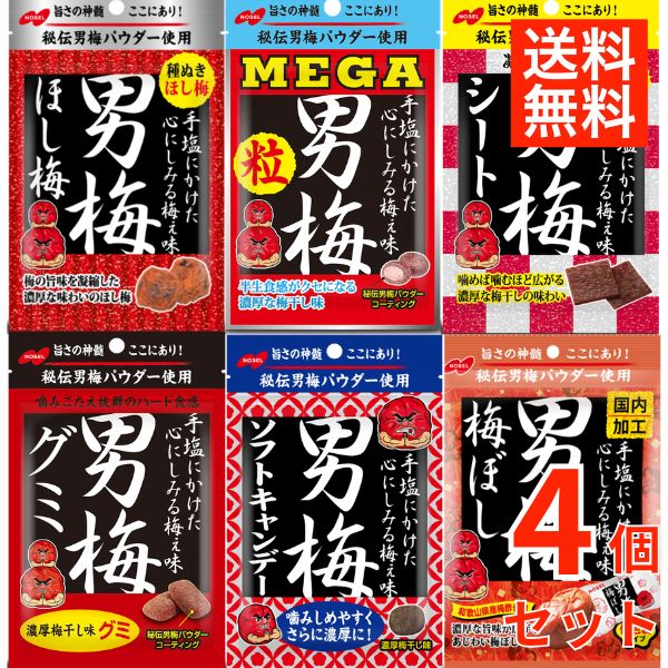 ノーベル 男梅グミ 4種4個 塩グミ 梅干し グミ 塩分補給 熱中症対策 ハードグミ 小袋 個包装 まとめ買い お菓子