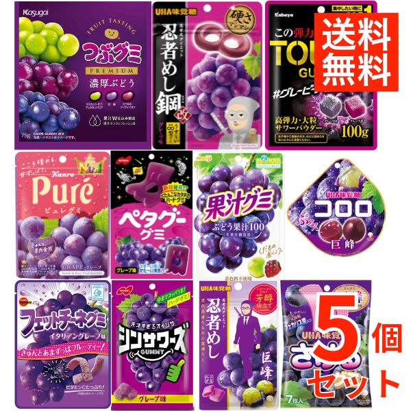 乐天商城 - グレープグミ 5種 詰め合わせ ブドウ グミ 食べ比べ フェットチーネ ピュレグミ コロロ 果汁グミ さけるグミ ぶどう 個包装 まとめ買い