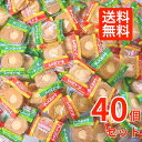 おかき ギフト 個包装 チーズ ブルボン チーズおかき 2種 各20枚 40枚セット