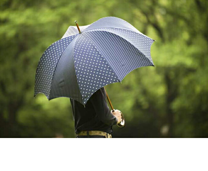 雨傘 メンズ DiCesare Designs ディチェザレ デザイン グランデ パンプキン ラフィネ 傘 かさ カサ 紳士用傘 umbrella デザイン傘 長傘 男性用傘 おしゃれ デザイン 大人 男性用 紳士用 贈り物 プレゼント 上質 日本製 国産 ドット ストライプ