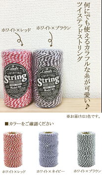 『ツイステッドストリング　TWISTED STRING』手芸 紐 ヒモ ひも ラッピング用品 リボン ストリング おしゃれ 可愛い かわいい ナチュラル ハンドメイド 手作り ラッピング 包装 プレゼント 贈り物 ギフト 招待状 結婚式招待状 2色 3色 DIY プレ花嫁 クリスマス 飾り付け