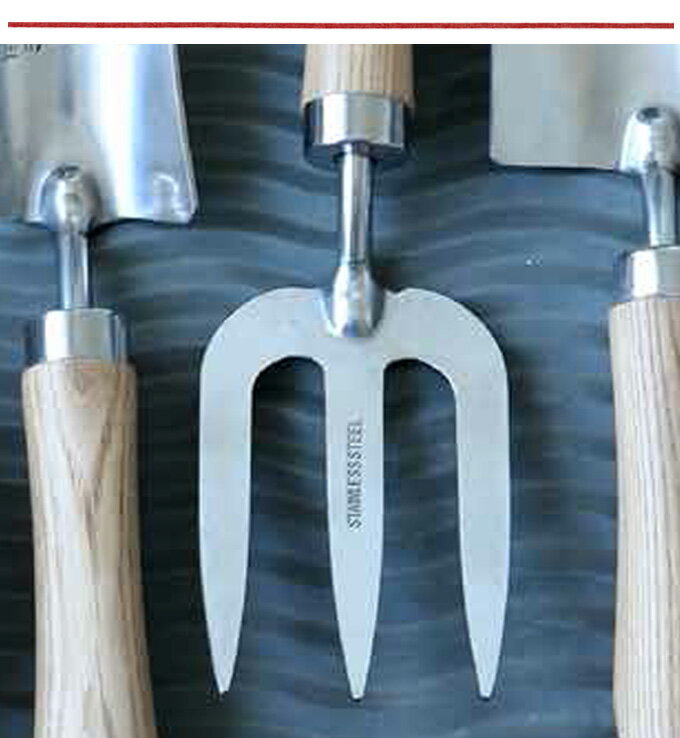 �ե����� HAND FORK �����ǥ�ե����� �����ǥ˥󥰥ե����� �����ǥ�ġ��� ������� ���襤�� �İ��� �ʥ����� ����ȥ꡼�� �� �����ǥ� �����ǥ˥� ���ƥ�쥹 ����� ���� � Ȫ �ڱ� ����