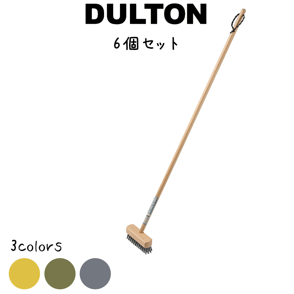 デッキ ブラシ 6本入り ダルトン DULTON デッキブラシ 掃除ブラシ 掃除用具 ブラシ たわし