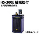 受注生産品 古河電池 古河電池 HS-300E 媒栓付据置鉛蓄電池HS形 バッテリー 2V 300Ah バッテリー おすすめ 蓄電池 インバータ HS300E 据置鉛蓄電池 HS形 非常照明 操作 制御 計装用 発電機 エンジン始動用 更新 取替え 取り替え 家庭用 小型(2)