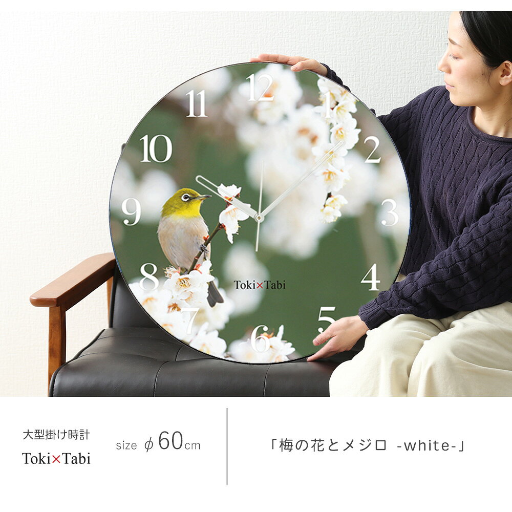 A+ (アクセントプラス) Toki×Tabi 梅の花とメジロ -white- 60cm 大型時計 秒針あり 大きい 時計 壁掛け時計 日本製 絶景 風景 丸い 静か 愛知県 名古屋市 バードウォッチング 鳥 白梅 満開 [2]