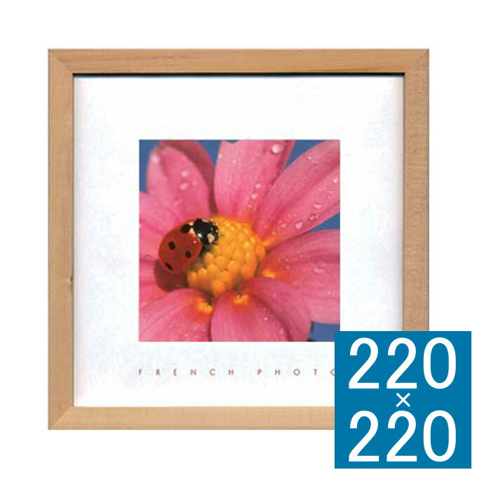 フォトアートフレーム French Photography アートフレーム フレーム 壁飾り 額縁 壁掛けインテリア 壁掛けアート フレームアート ディスプレイ...