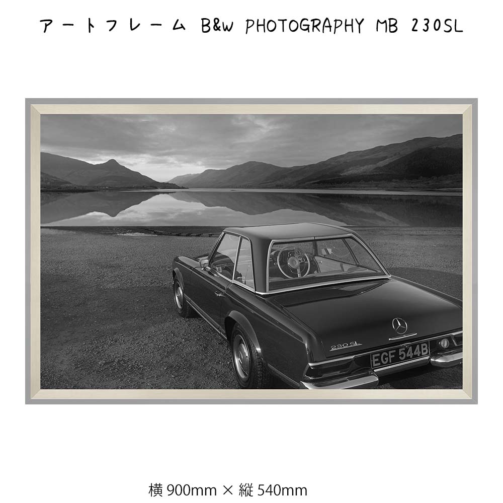 ȥե졼 B&W PHOTOGRAPHY MB 230SL ɳݤ  900mm߽540mm ɾ ۱ ݥ ե졼...