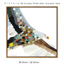 アートフレーム ND Concept Frame Kaho Hosokawa Hawk 壁掛け 絵画 横500mm×縦500mm 壁飾り 額縁 ポスター フレー...
