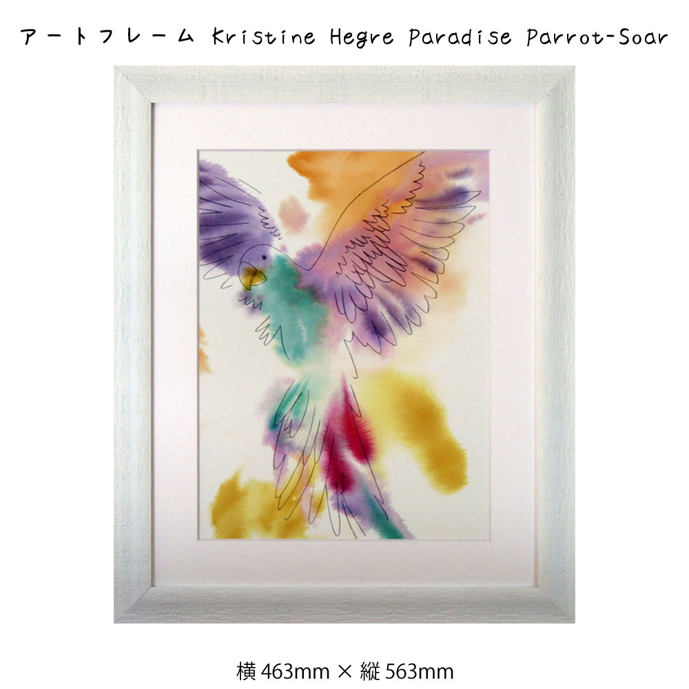 ȥե졼 Kristine Hegre Paradise Parrot-Soar ꥹƥ󡦥إ   ɳݤ ɾ ...