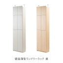 壁面薄型ランドリーラック 扉 ホワイト ランドリーラック ランドリー収納 洗面収納 収納棚 壁面収納 ラック 洗面所 脱衣所 ランドリー 薄型 国産 日本製 可動棚 ホワイト 白 ナチュラル モダン 大容量 可動棚 新生活 一人暮らし 賃貸マンション アパート