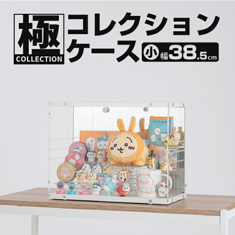 ccs38.jpg ccs38.jpg