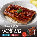 うなぎ2尾(ハーフカット)うなぎ 鰻 土用の丑の日