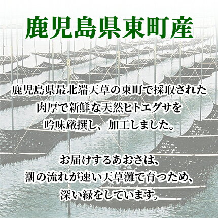 鹿児島県産あおさ海苔50g　【送料無料】新物/あおさのり/アオサ/ヒトエグサ/ひとえぐさ/味噌汁/メール便でお届け/rdc/がってん寿司