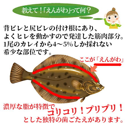 楽天市場 天然えんがわスライス枚入り 同梱おすすめ カレイのエンガワ 鰈 縁側 刺身 海鮮 Rdc がってん 同梱 カニとマグロの がってん寿司