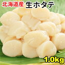 北海道産 生ほたて貝柱1kg 【送料無料】個別凍結だから便利な帆立 冷凍生 刺身 ホタテ がってん寿司 バーベキューやキャンプ、ギフトにも