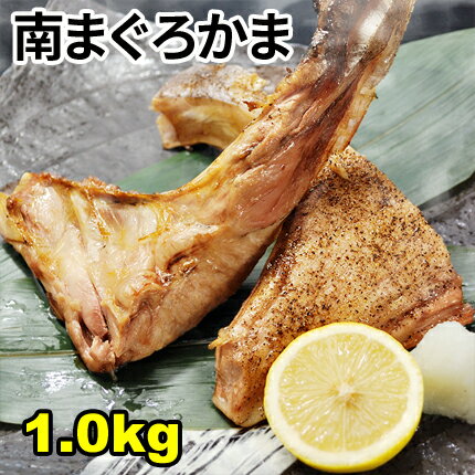 まぐろカマ1.0kg 高級ミナミマグロのかま【同梱おすすめ】かま焼き かま煮付け カマトロ がってん ...