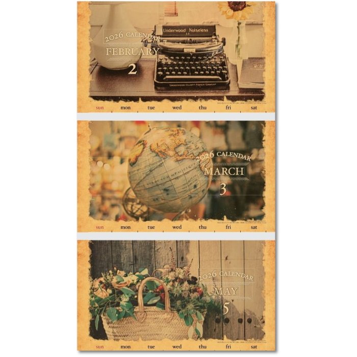 �������� 2026 �ɳݤ� ANTIQUE�ʥ���ƥ�������