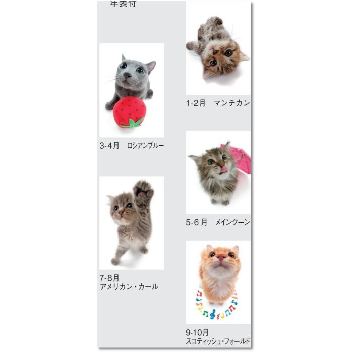 カレンダー2026 壁掛け　キューティーキャット