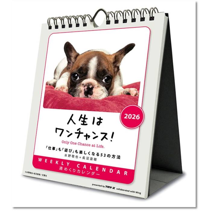 2026年カレンダー 動物 人生はワンチャンス！ 卓上/壁掛 壁掛け 2025年9月20日発売