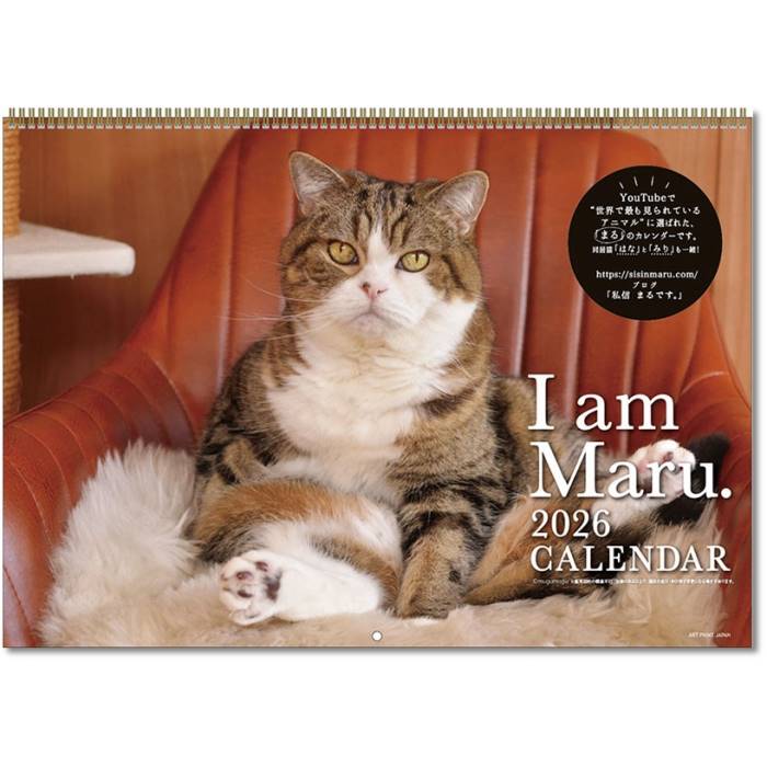 2026年カレンダー 動物 まるちゃん 壁掛け 2025年9月20日発売