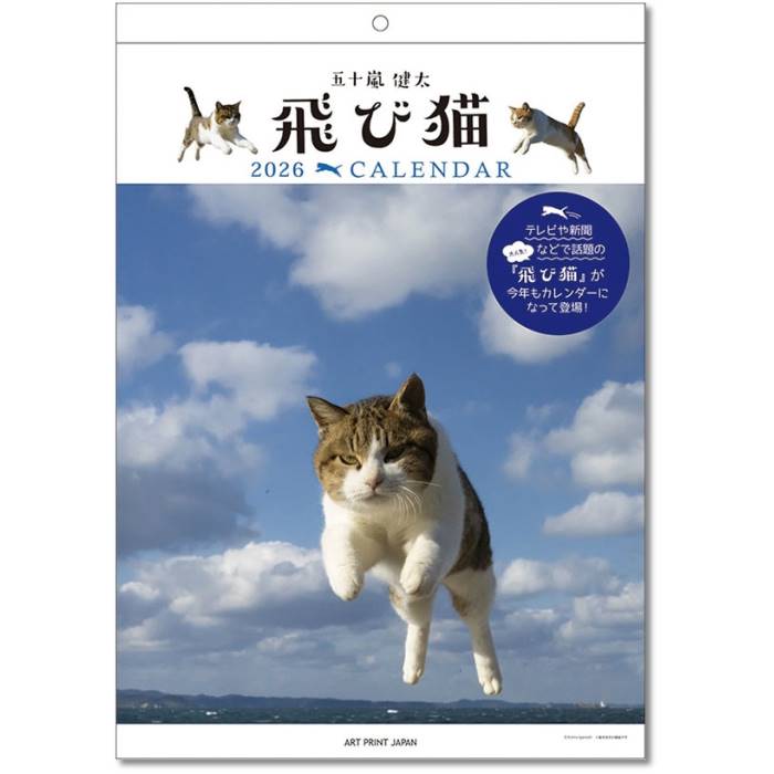 2026年カレンダー 動物 飛び猫 壁掛け 2025年9月20日発売