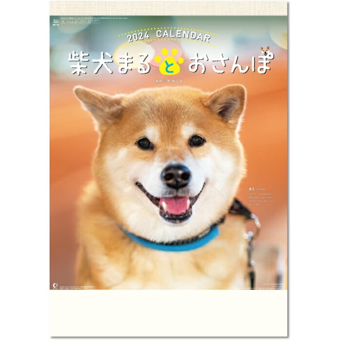 カレンダー 2024 壁掛け 柴犬まるとおさんぽカレンダー