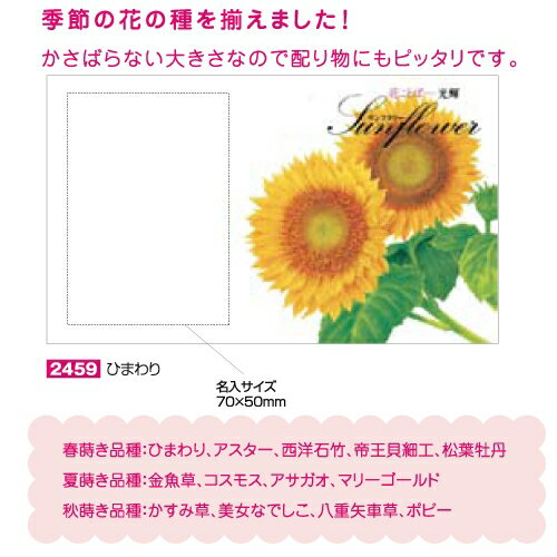 名入れ　花の種子　金魚草