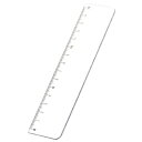 名入れ PR定規(15cm)