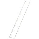 名入れ PR定規(30cm)