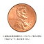 【当店グレード：A〜C】 硬貨 ユニオンシールドペニー硬貨 2010年〜 1セント Penny 1Cent アメリカ合衆国｜コイン