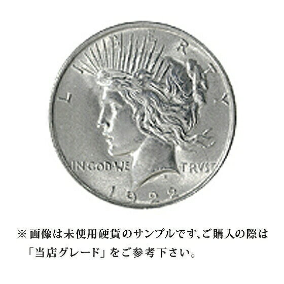 【当店グレード：C～D】 銀貨 ピースダラー硬貨 1921年～1928年と1934年～1935年 1ドル 1Dollar アメリカ合衆国｜コイン