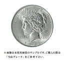 【当店グレード：C～D】 銀貨 ピースダラー硬貨 1921年～1928年と1934年～1935年 1ドル 1Dollar アメリカ合衆国｜コイン