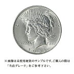 【当店グレード：C～D】 銀貨 ピースダラー硬貨 1921年～1928年と1934年～1935年 1ドル 1Dollar アメリカ合衆国｜コイン