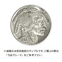  白銅貨 バッファローニッケル硬貨 1913年～1938年 5セント Nickel 5Cent アメリカ合衆国｜コイン