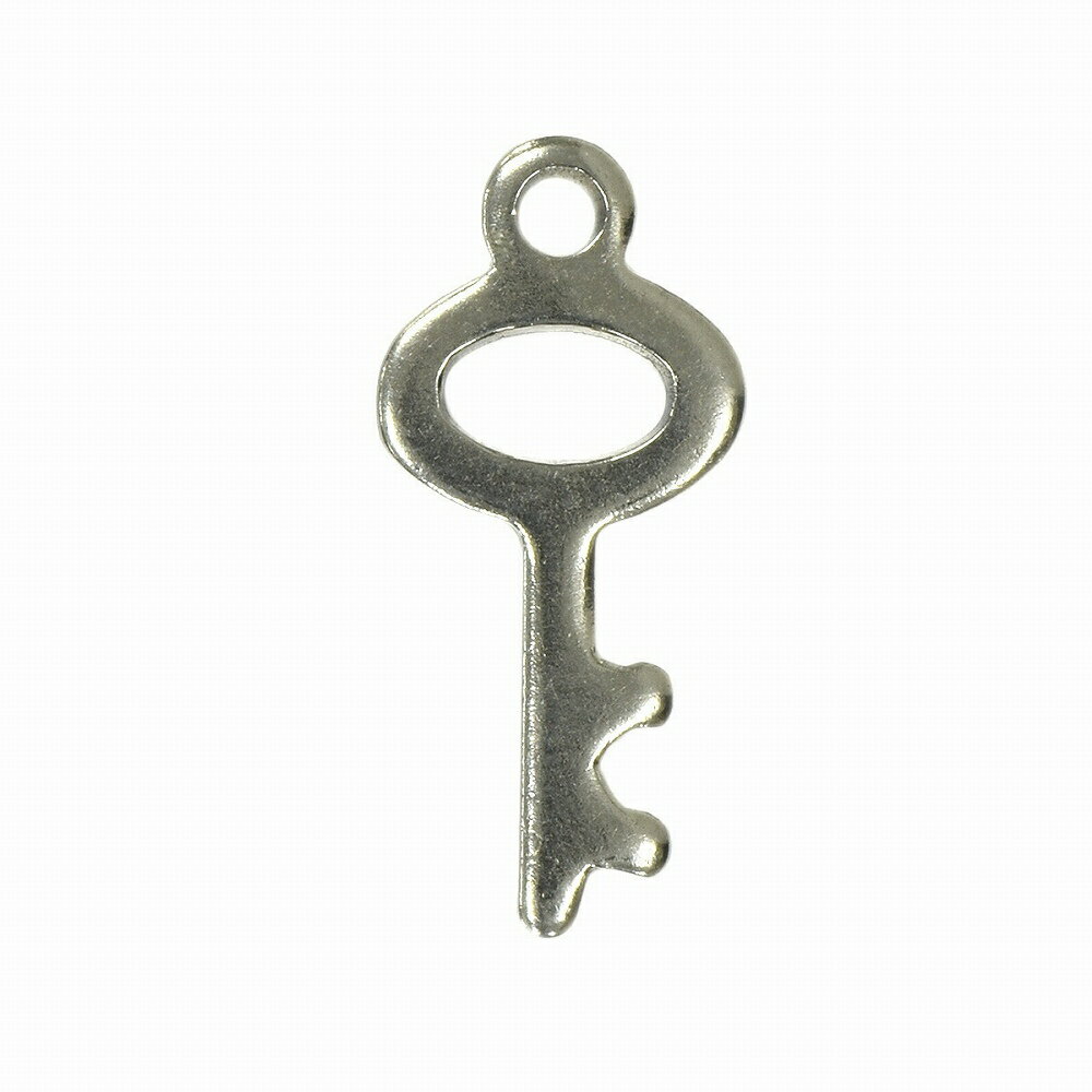 【1個売り】 チャームパーツ サージカルステンレス 鍵プレートチャーム 縦20.0mm 横9.0mm キー かぎ カギ|手芸用品 金具 飾り パーツ 部品 医療...