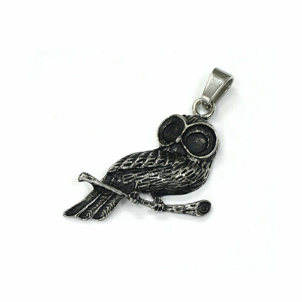 ペンダントトップ ステンレス 枝にとまったフクロウモチーフのペンダント ネックレスチェーン付き 梟 オウル｜ アクセサリー レディース メンズの商品画像 3
