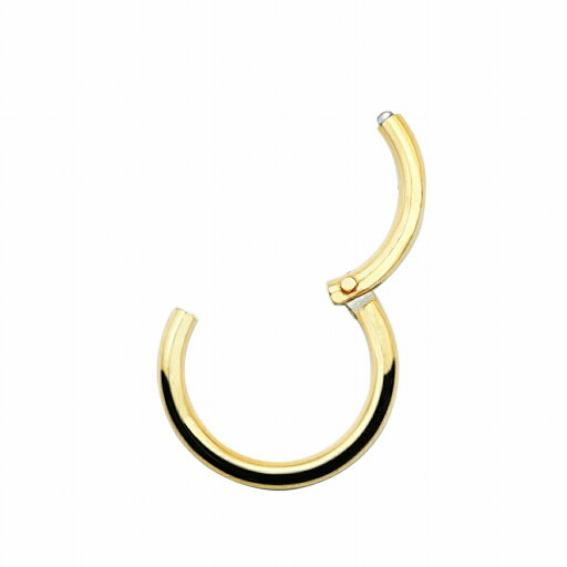 【バラ売り/1個】 ボディピアス サージカルステンレス 簡単に装着出来るワンタッチタイプのセグメントリング 16ゲージ 内径8.0mm 金色 ゴールド|軟骨 医療用ステンレス アクセサリー レディース メンズ 【バラ売り/1個】 ボディピアス サージカルステンレス 簡単に装着出来るワンタッチタイプのセグメントリング 16ゲージ 内径8.0mm 金色 ゴールド|軟骨 医療用ステンレス アクセサリー レディース メンズ
