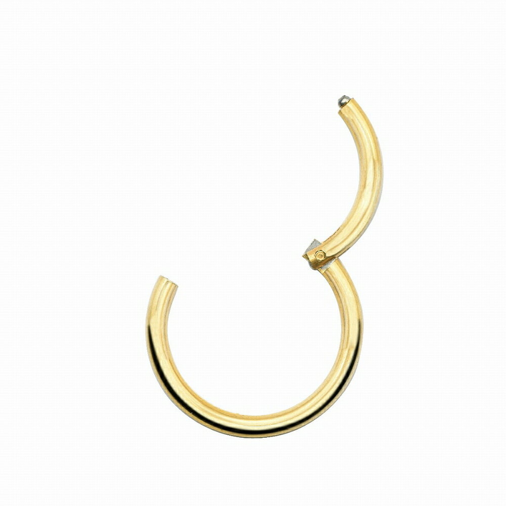 【バラ売り/1個】 ボディピアス サージカルステンレス 簡単に装着出来るワンタッチタイプのセグメントリング 16ゲージ 内径10.0mm 金色 ゴールド|軟骨 医療用ステンレス アクセサリー レディース メンズ