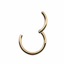 【バラ売り/1個】 ボディピアス サージカルステンレス 簡単に装着出来るワンタッチタイプのセグメントリング 16ゲージ 内径10.0mm ピンクゴールド|軟骨 ...