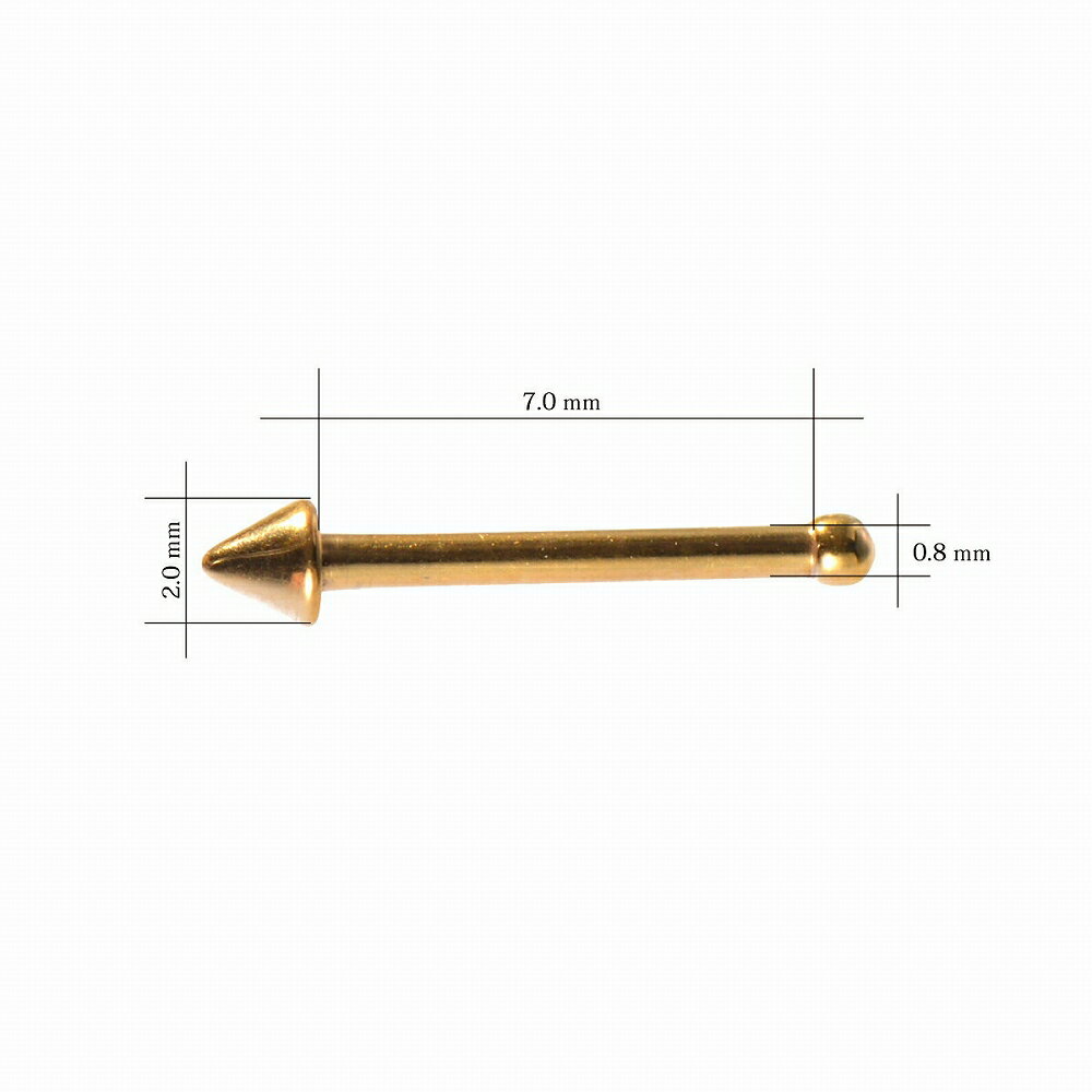 ボディピアス 透明ピアス 透明 アクリル プラグ 6G 4mm ブラック ホワイト ホールピアスピアス ボディーピアス ボディピ ピアス