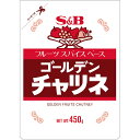 S&B ゴールデンチャツネ 450g 1個 エスビー食品 公式 調味料 カレー チャツネ エスビー 食品 調味料