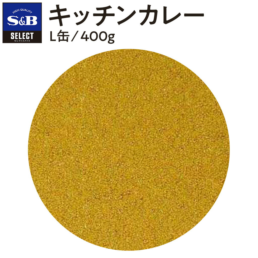 【公式】S&B セレクトスパイス キッチンカレー L缶 400g 業務用 エスビー食品 公式 スパイス ハーブ SELECT SPICE カレー風味