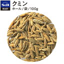 公式 S&B セレクトスパイス クミン シード 袋入り 100g 業務用 エスビー食品 公式 スパイス ハーブ SELECT SPICE